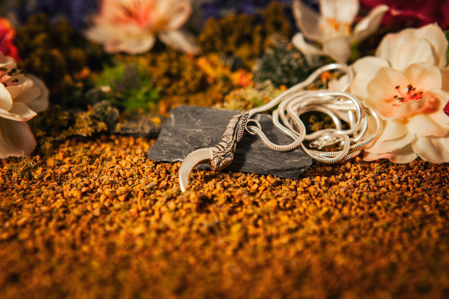 Crow Claw Necklace