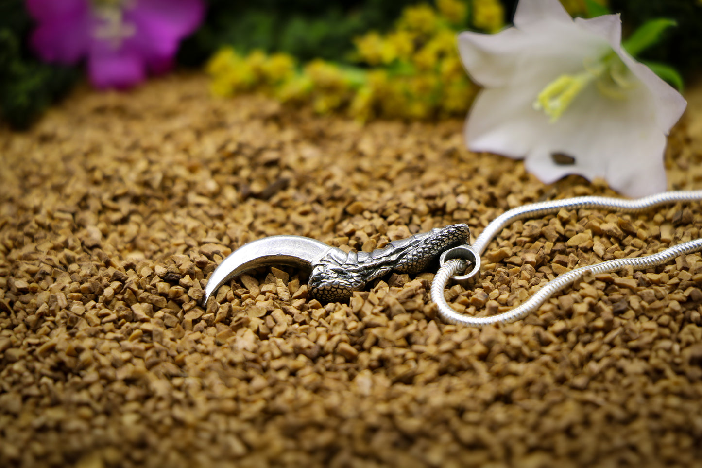 Crow Claw Necklace