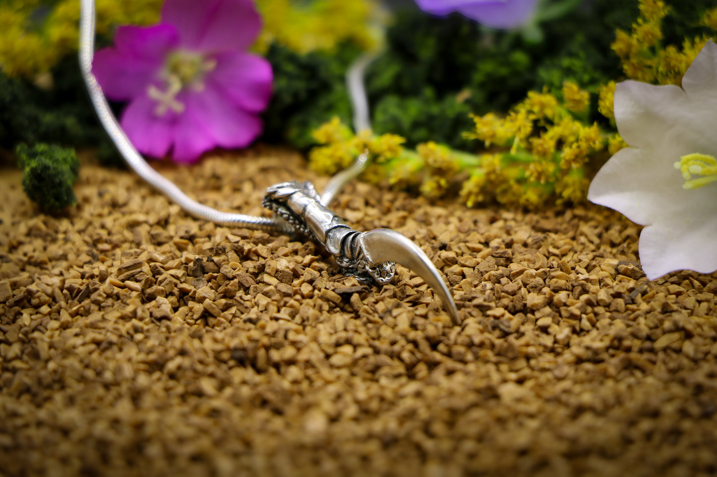 Crow Claw Necklace