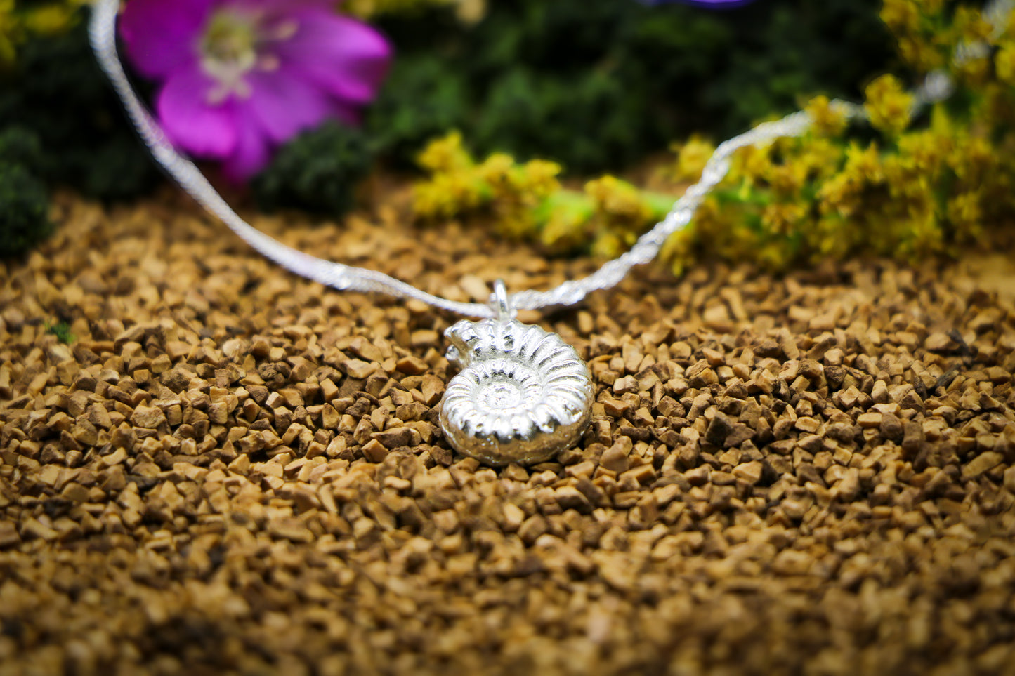 Ammonite Fossil Necklace