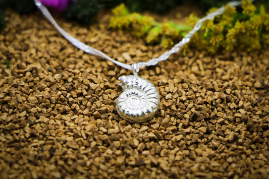 Ammonite Fossil Necklace